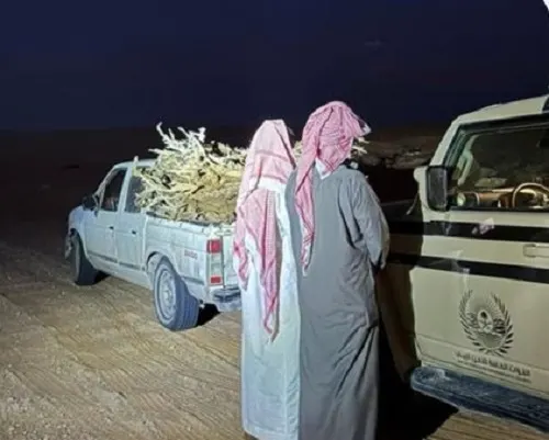 ضبط تاجر حطب وناقلي صخور و راعي إبل في 3 مناطق