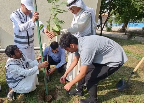 غرس 100 شتلة في تقني القطيف