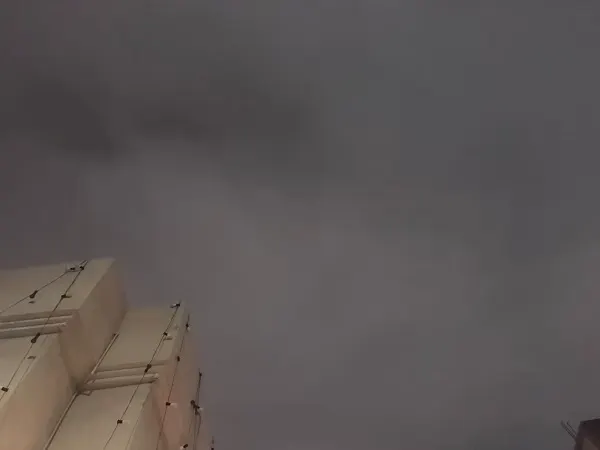 ليلة ضباب في الساحل الشرقي