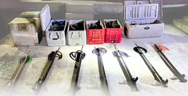 ضبط 7 مخالفين اصطادوا أسماك ببنادق محظورة