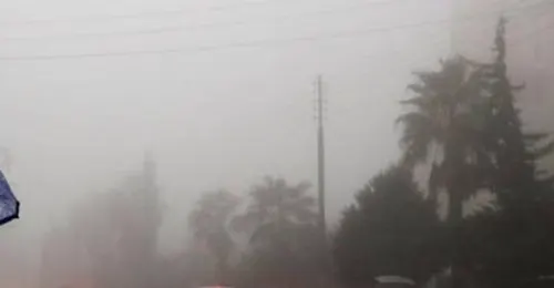 الأرصاد: أمطار وضباب على أجزاء من الشرقية