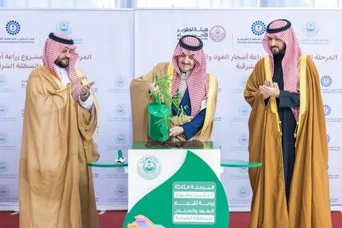 “صندل” جازان في الشرقية
