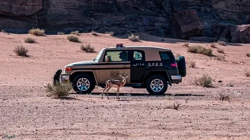 عسير.. ضبط مواطن أشعل النار في الغطاء النباتي