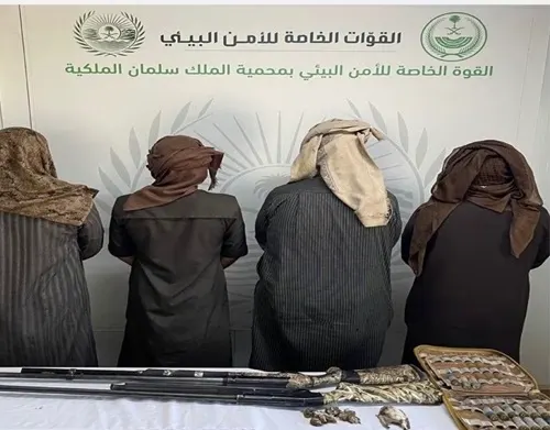 10 كائنات فطرية تتسبب في القبض على رباعي الشراري