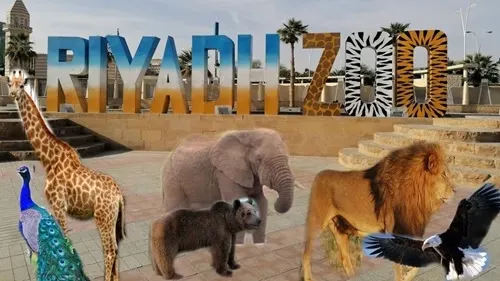 الرياض.. حديقة الحيوان تعيد فتح أبوابها