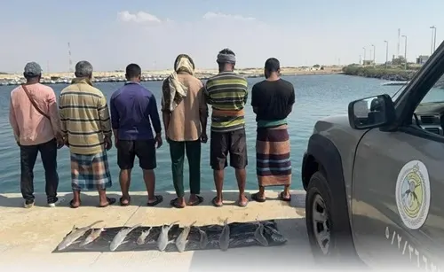 القنفذة.. ضبط 6 هنود وبنغاليين اصطادوا أسماكًا محظورة