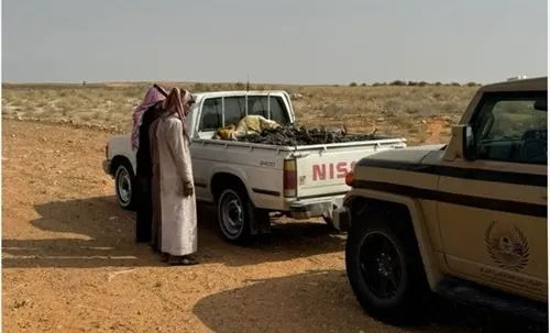 تم الضبط.. راعي إبل و3 نقلوا حطبًا محليًا