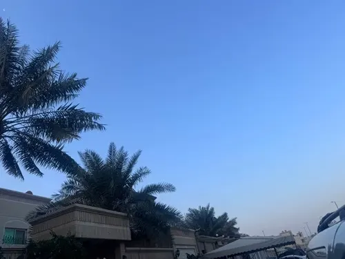 طقس القطيف.. بارد ليلاً.. دافيء نهاراً