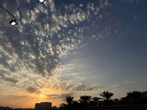 صباح بارد على القطيف ونهار مشمس