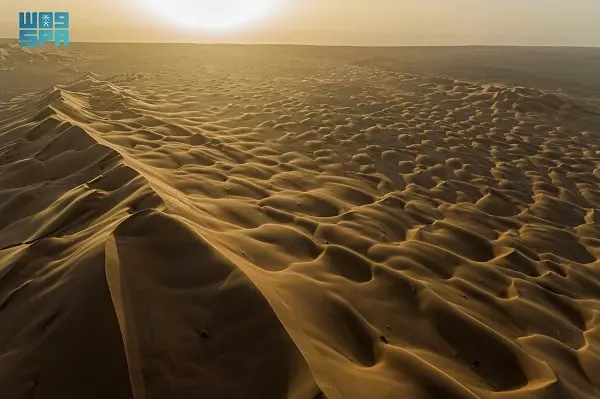 عروق بني معارض