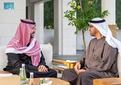 وزير الدفاع يبحث مع رئيس الإمارات التطورات الإقليمية والدولية