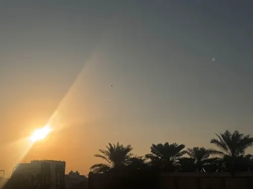 نهار دافئ ومشمس في القطيف