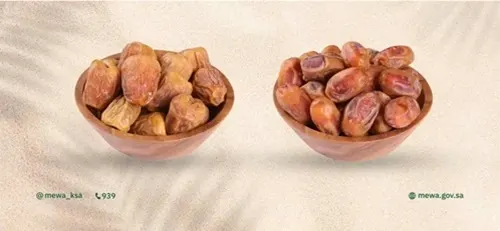 الشرقية حلت رابعًا.. والخلاص والسكري يتصدران