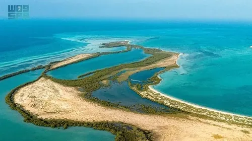 جبل سيرين