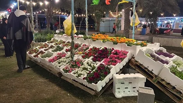 تاروت.. “جزيرتنا خضراء 4” يجمع التراث و الحداثة في كورنيش المحيسنيات