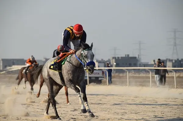 الرياض.. جياد الدمام تتأهل إلى أشواط أبطال الميادين