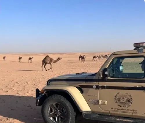 ضبط مجرفي تربة و راعي إبل في 3 مناطق