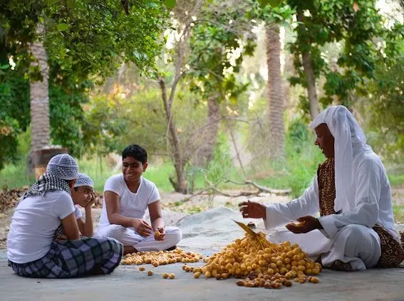 غداً.. سوق المزارعين في مشروع الرامس بوسط العوامية