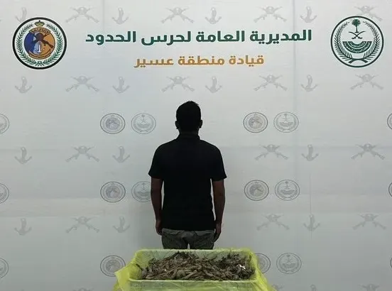 صيد الأسماك دون تصريح يورط مقيماً في عسير