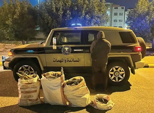 ضبط تاجر حطب محلي في الشرقية