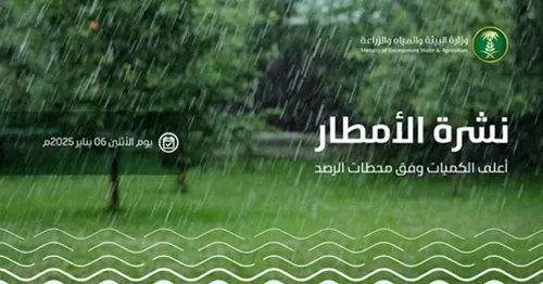المدينة الأعلى مطرًا بـ 49 ملم