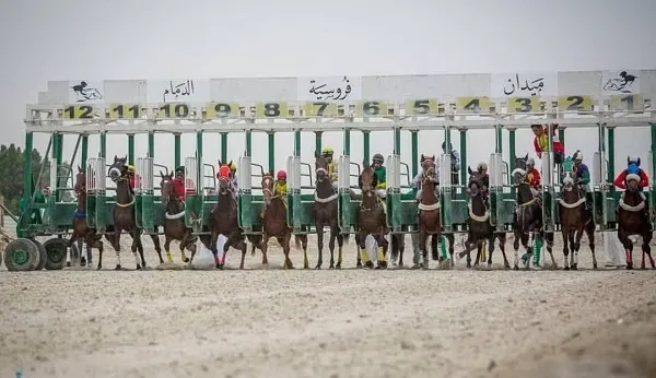 31 جواداً من ميدان الدمام يتأهبون لـ “أبطال الميادين”