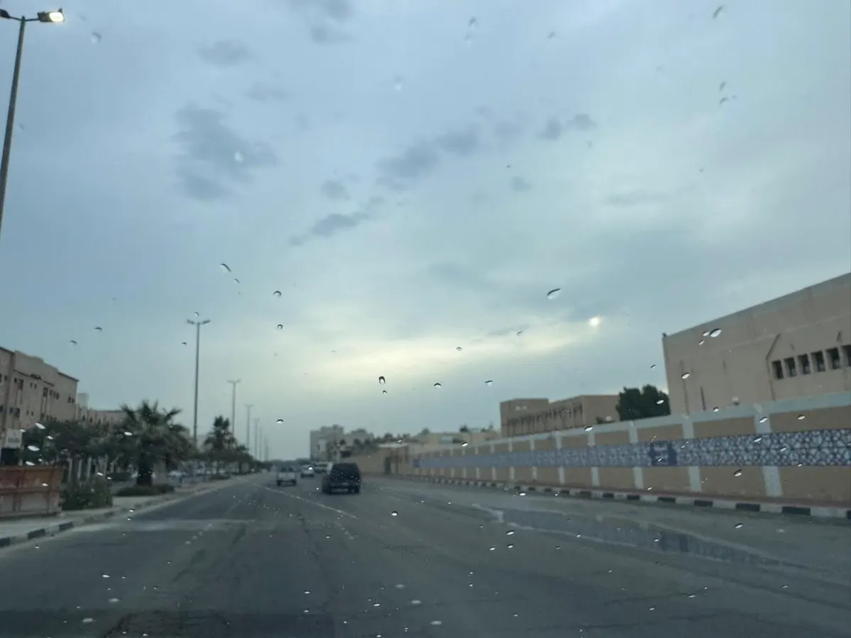 الطقس.. رياح نشطة مثيرة للأتربة وفرصة لهطول الأمطار على الشرقية