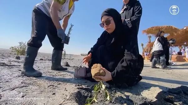 تاروت.. المنغروف في الرملة البيضاء