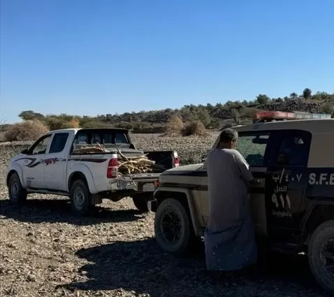 ضبط تاجر حطب في المدينة
