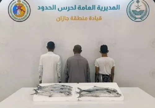 جازان.. صيد الأسماك في منطقة محظورة يورط يمنياً و مواطنين