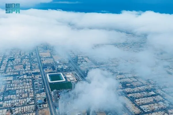 ضباب الرياض