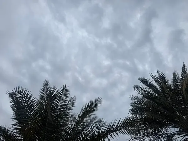 القطيف.. سماء غائمة نهاراً وليل دافئ