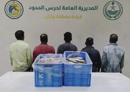 جازان.. ضبط 5 مقيمين اصطادوا أسماكاً في منطقة محظورة