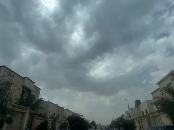 الأرصاد: أمطار رعدية ورياح نشطة على 9 مناطق بينها الشرقية