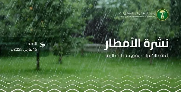 المدينة الأعلى مطرًا بـ 10.4 ملم