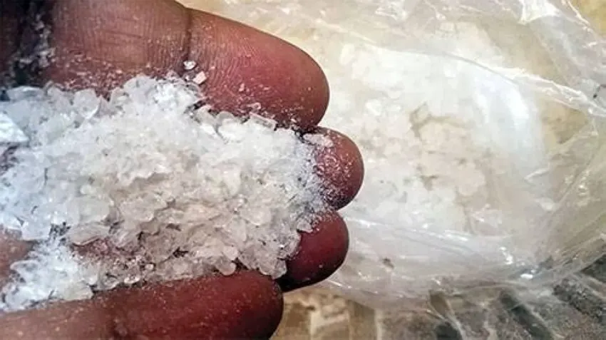 سقوط سعوديين يروجان الـ “شبو” في الشرقية