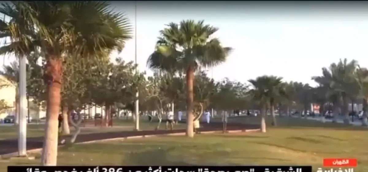 تجمع الشرقية: 300 ألف مستفيد من “صم بصحة” و386 ألف فحص طبي