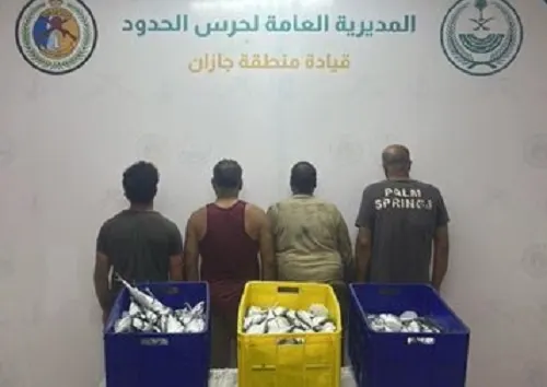 جازان.. ضبط 4 مصريين اصطادوا أسماكاً في منطقة محظورة