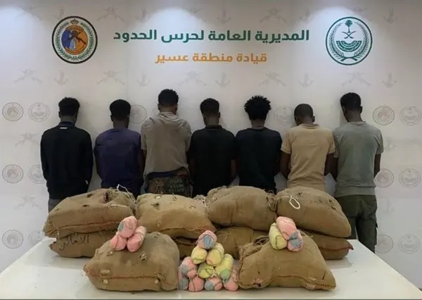 12 مروجًا ومهربًا حصيلة 24 ساعة من الحرب على المخدرات