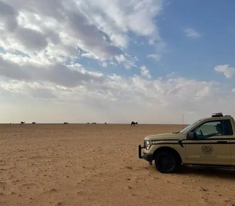 ضبط راعي إبل في محمية ملكية