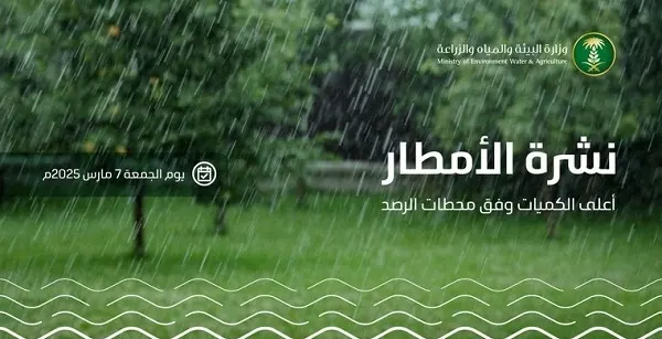 الشرقية تسجل ثاني أعلى معدل هطول أمطار بـ 34 ملم