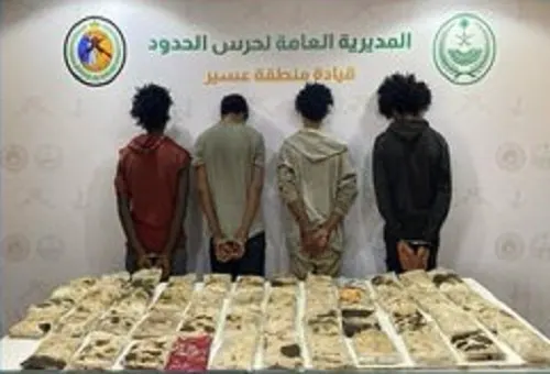 4 ضبطيات.. حشيش و قات في تبوك وجازان وعسير