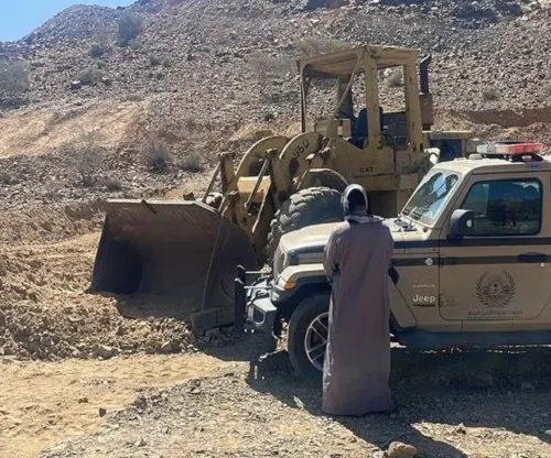 ضبط مواطن اقتلع أشجاراً في المدينة
