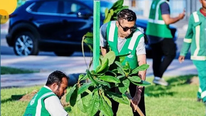 غدًا.. زراعة “التوف” المحلي في حديقة القدس