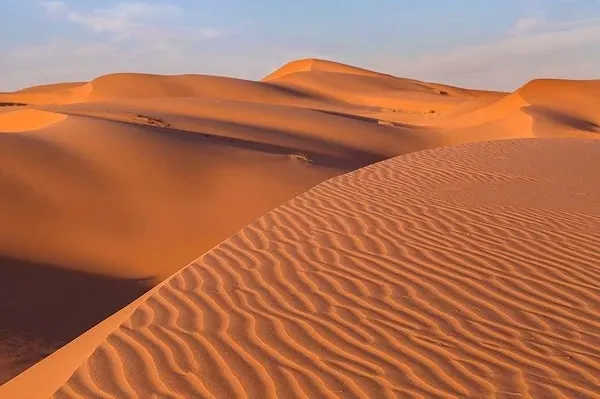 دراسة في “كاوست”: الربع الخالي كان موطناً لبحيرات وأنهار ومروج خضراء