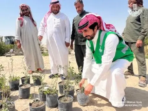القطيف.. 80 متطوعاً زرعوا 100 شجرة كعك وسدر وأكاسيا