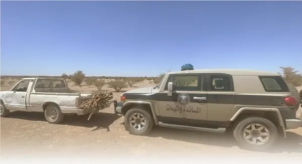 ضبط تاجر حطب محلي في المدينة