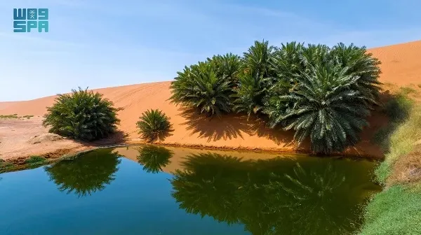 رسمياً.. شمال الرياض جيوبارك و سلمى جيوبارك في اليونسكو