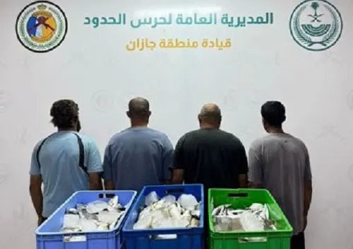 جازان.. ضبط 4 مقيمين اصطادوا أسماكاً في منطقة محظورة