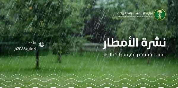 الباحة الأعلى مطراً بـ 90.6 ملم